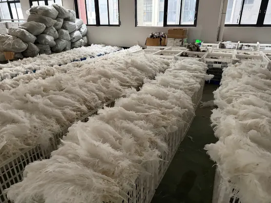 Raw feather stock warehouse